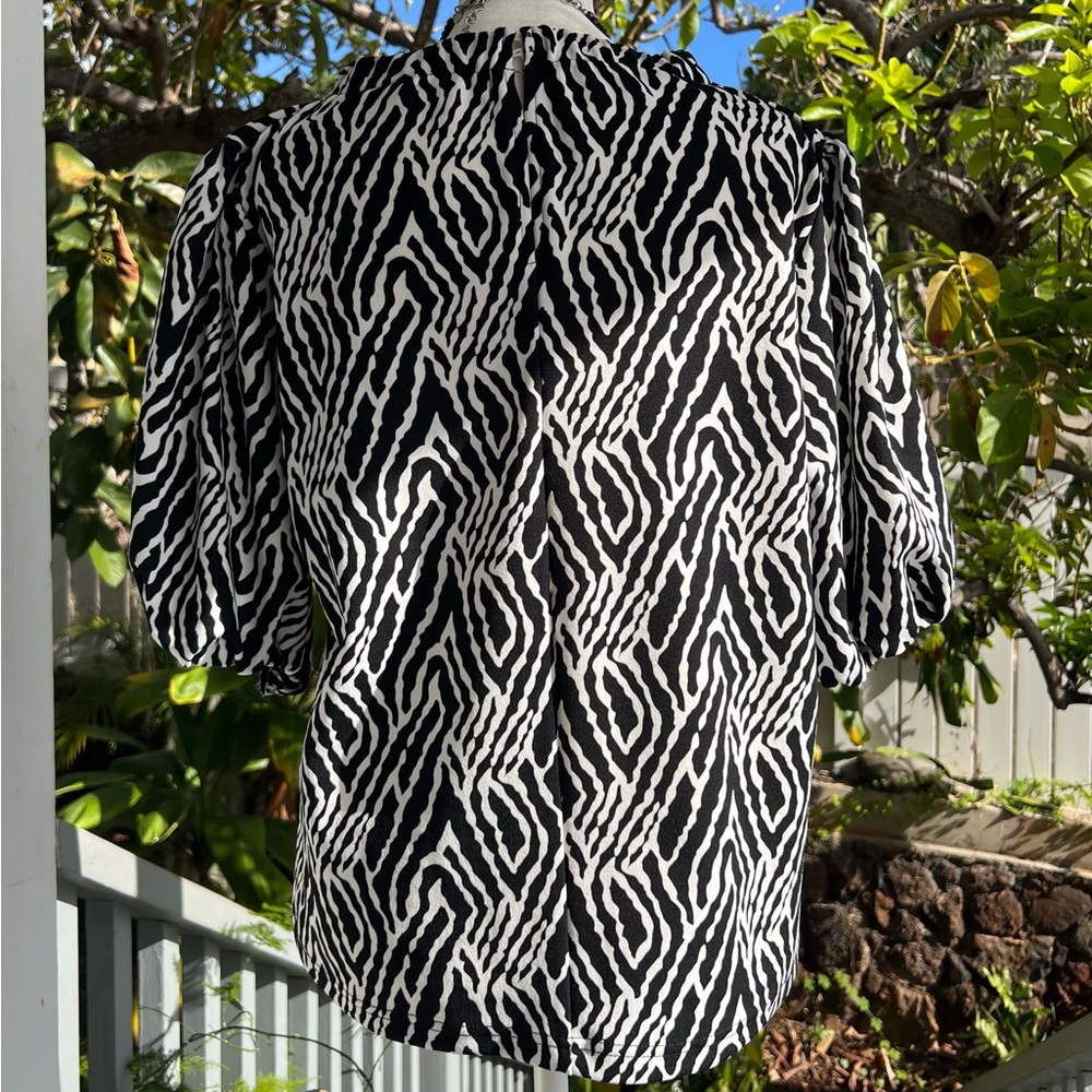 Fun Zebra 🦓 Print Top - Picture 4 of 7